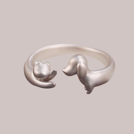 Friends Ring